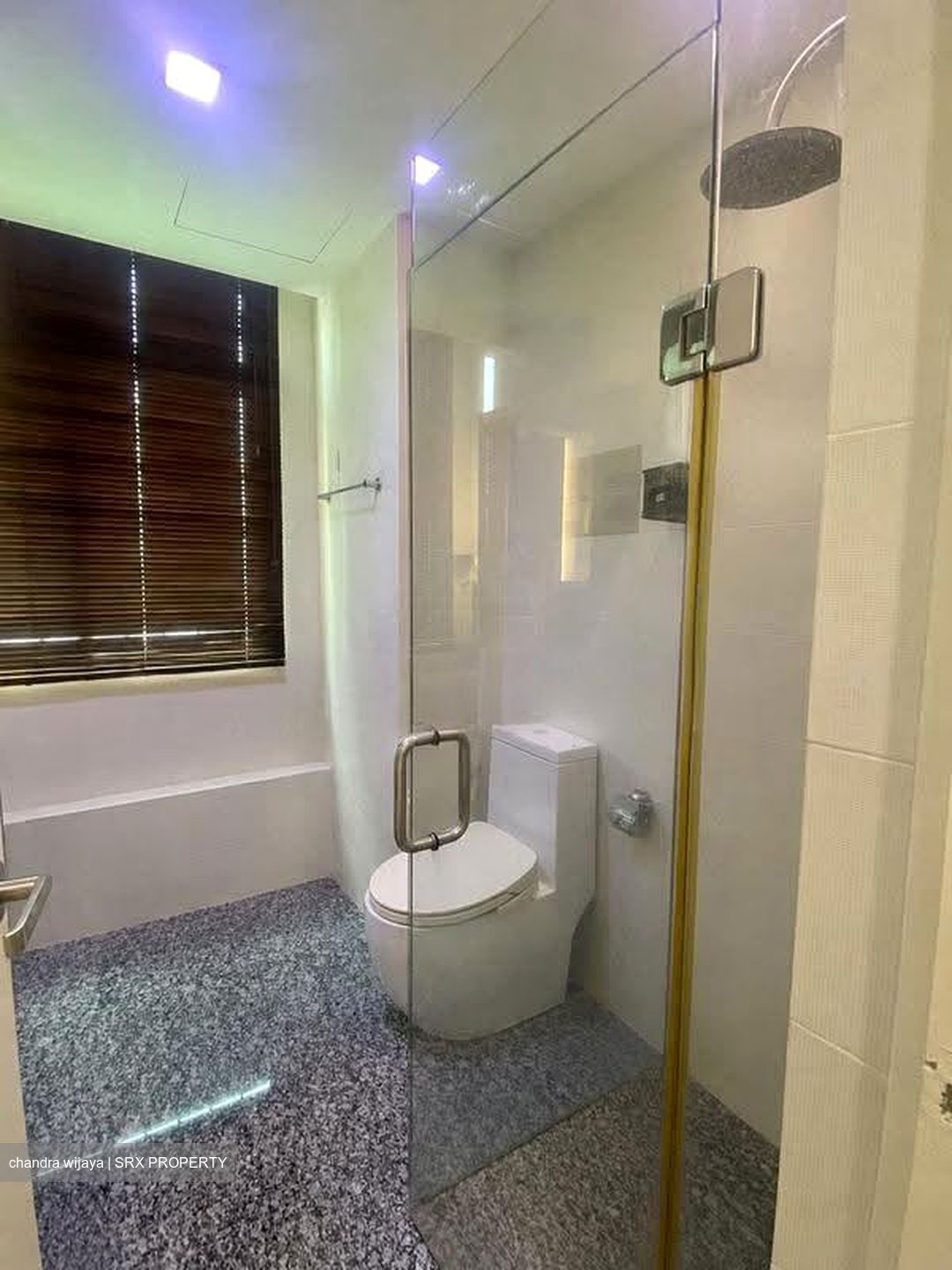 Melrose Park (D10), Condominium #627857331